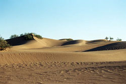Dunes de M'Hamid SUD MAROC